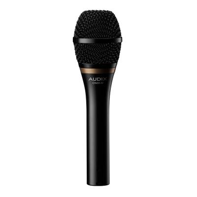 マイク AUDIX OMX-M ボーカル用ダイナミックマイク Mid-Tight マイクスタンドに設置したボーカル向き リア画像