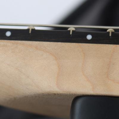 【訳あり】 EVH Limited Edition Star Ebony Fingerboard Stealth Black with Gold Hardware エレキギター アウトレット ネック汚れ