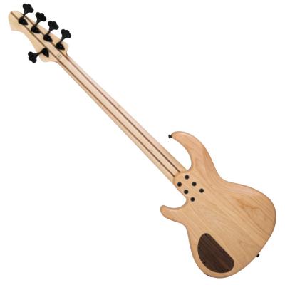 AriaProII アリアプロII RSB-700WP/5 N 5弦エレキベース ボディバック