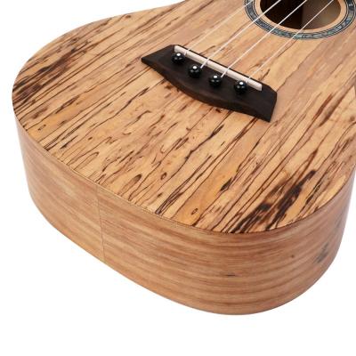 ISLANDER アイランダー MAC-4 コンサートウクレレ ボディ
