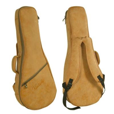 Kentucky ケンタッキー KM670 マンドリン 付属品