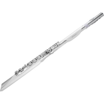 フルート型電子管楽器 ROLAND AE-BRISA Aerophone Brisa DIGITAL WIND INSTRUMENT ローランド エアロフォン ブリサ