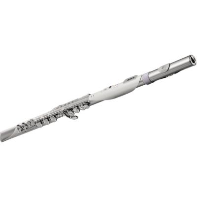 フルート型電子管楽器 ROLAND AE-BRISA Aerophone Brisa DIGITAL WIND INSTRUMENT ローランド エアロフォン ブリサ 吹き口側