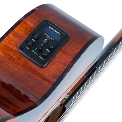 Washburn ワッシュバーン WCG10CE エレクトリックアコースティックギター プリアンプ画像