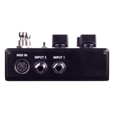 Source Audio ソースオーディオ SA264 ENCOUNTER Ambient Delay+Reverb アンビエント ディレイ リバーブ ギターエフェクター 右サイド