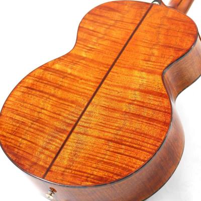 Bromo Guitars ブロモギターズ BAN8E vs エレクトリックアコースティックギター ボディバック画像 2