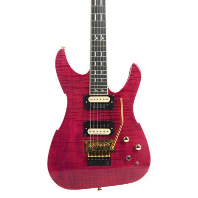 PEAVEY ピーヴィー Adrian Vandenberg Signature Guitar Purple Flame Maple エレキギター トップ