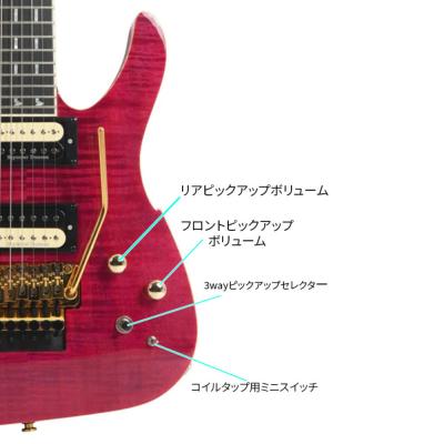 PEAVEY ピーヴィー Adrian Vandenberg Signature Guitar Purple Flame Maple エレキギター コントロール