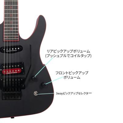 PEAVEY ピーヴィー Adrian Vandenberg Signature Guitar Matte Black エレキギター コントロール