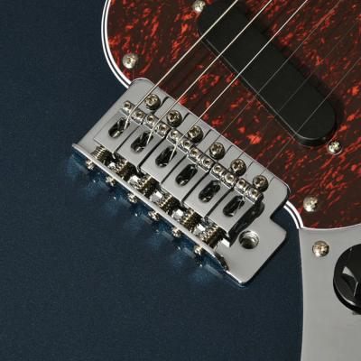 BACCHUS バッカス Universe Series BMS-1-RSM/M-TTPG DLPB エレキギター ボディ画像 2