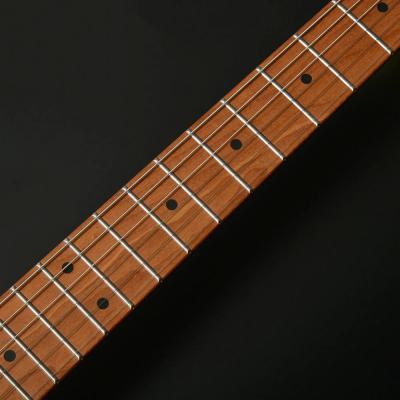 BACCHUS バッカス Universe Series BMS-1-RSM/M-TTPG BLK エレキギター ネック