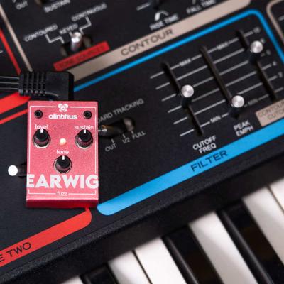 エフェクター Olinthus EARWIG 超小型エフェクター ファズ Fuzz オリンタス アーウィグ イメージ画像4