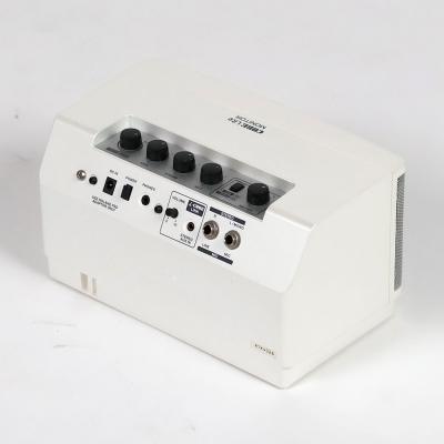 【中古】 モニタースピーカー ローランド ROLAND CUBE LITE MONITOR キューブライトモニター CUBE-LM 全体
