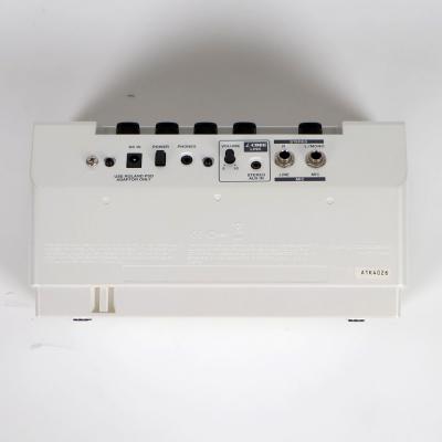 【中古】 モニタースピーカー ローランド ROLAND CUBE LITE MONITOR キューブライトモニター CUBE-LM 背面端子