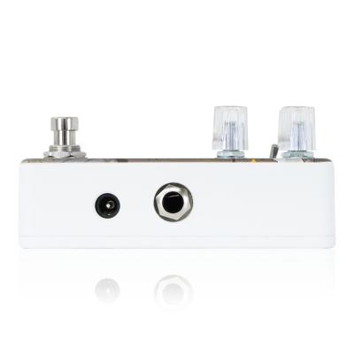 Animals Pedal アニマルズペダル Custom Illustrated BTR 数分間のエールを 外崎 大輔 リバーブ ギターエフェクター サイド画像