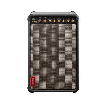 Positive Grid ポジティブグリッド Spark LIVE 4チャンネル マルチアンプ ギターアンプ