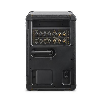 Positive Grid ポジティブグリッド Spark LIVE 4チャンネル マルチアンプ ギターアンプ リア画像