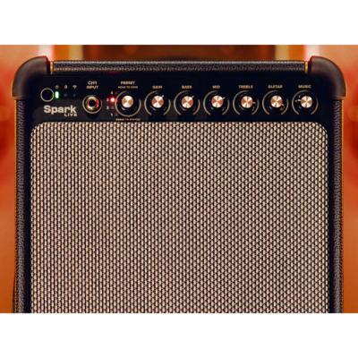 Positive Grid ポジティブグリッド Spark LIVE 4チャンネル マルチアンプ ギターアンプ サブ画像2