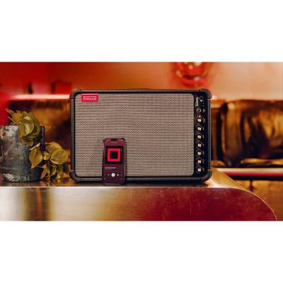 Positive Grid ポジティブグリッド Spark LIVE 4チャンネル マルチアンプ ギターアンプ サブ画像3