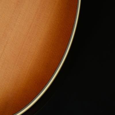 HEADWAY ヘッドウェイ HC-Essential ASB アコースティックギター バインディング部