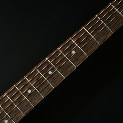 HEADWAY ヘッドウェイ HC-Essential ASB アコースティックギター ネック部