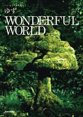 Rittor Music ハーモニカ&ギター ゆず/WONDERFUL WORLD