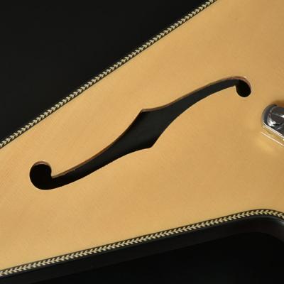 BACCHUS バッカス Global series BFV-JAZZ NA エレキギター Fホール部