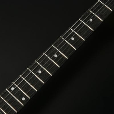 BACCHUS バッカス Universe Series BTE-1DX RSM/P PWH-MH エレキギター ネック部