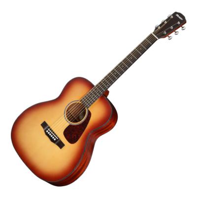 MORRIS モーリス F-1 BS 2025 Renewed Series ブラウンサンバースト アコースティックギター