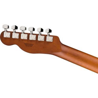 Fender フェンダー FSR Acoustasonic Standard Telecaster British Racing Green エレクトリックアコースティックギター ヘッドバック画像