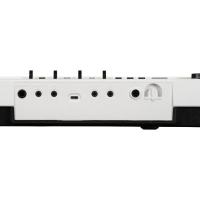 KORG Liano Live L1 LIVE 電子ピアノ コルグ リアコネクタ画像