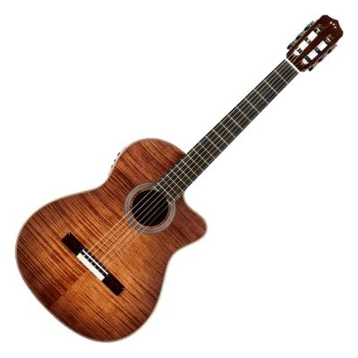 Cordoba コルドバ Fusion 12 Cinnamon Burst シナモン・バースト エレクトリック クラシックギター