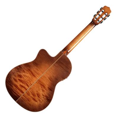 Cordoba コルドバ Fusion 12 Cinnamon Burst シナモン・バースト エレクトリック クラシックギター 背面