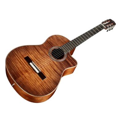 Cordoba コルドバ Fusion 12 Cinnamon Burst シナモン・バースト エレクトリック クラシックギター 全体