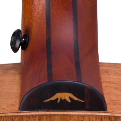 Bromo Guitars ブロモギターズ BAT8EFL BASS フレットレス エレクトリックアコースティックベース ジョイント