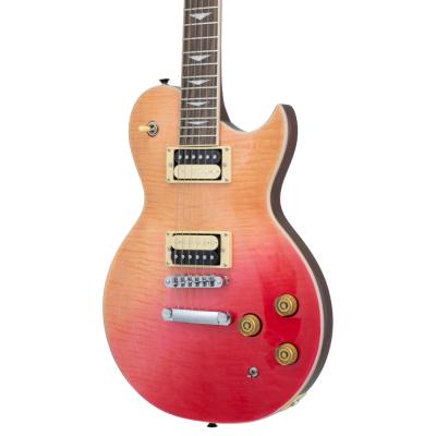 AriaProII アリアプロ2 PE-JAIL 2025 JAIL大橋代官シグネチャー コストパフォーマンスモデル エレキギター ボディ斜めアングル画像