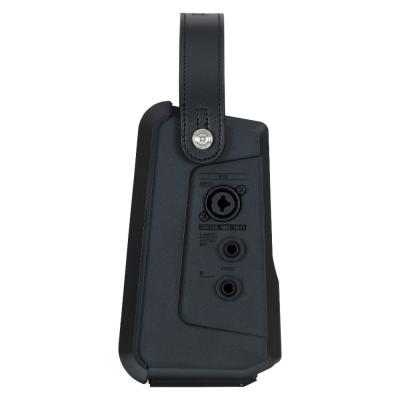 ROLAND ローランド CUBE Street MINI キューブストリートミニ バッテリー駆動小型アンプ CUBE-ST-MI (MOBILE CUBE後継機種) サイド画像