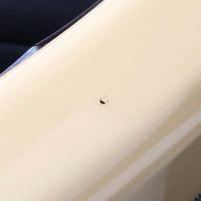 【中古】Fender フェンダー Daiki Tsuneta Swinger VWT King Gnu 常田大希 シグネチャーモデル エレキギター 打痕