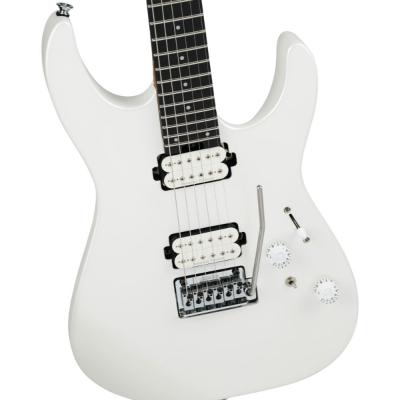 Charvel シャーベル Pro-Mod Plus DK24 HH 2PT EB Ebony Fingerboard - Celestial Silk エレキギター ブリッジ、コントロール、ピックアップ