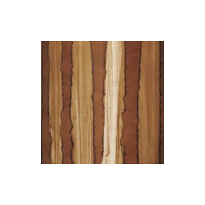 TAMA タマ MBSS55-CAR Starclassic Performer 14 x 5.5 スネアドラム カラー