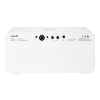 Mooer ムーアー F40i Snowfall White デスクトップアンプ 背面