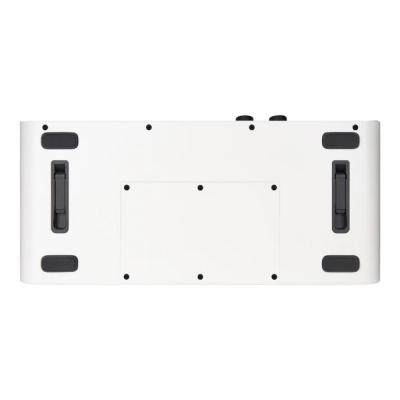 Mooer ムーアー F40i Snowfall White デスクトップアンプ 背面