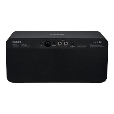 Mooer ムーアー F40i Li Phantom Black ギターアンプ 背面