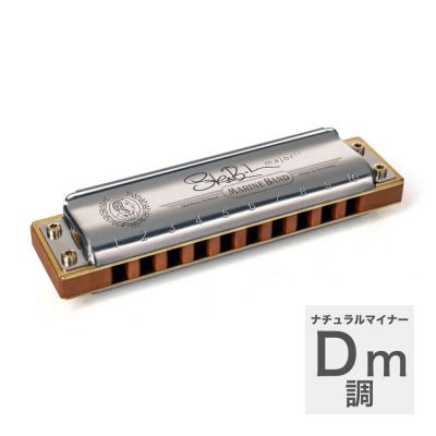 HOHNER ホーナー Steve Baker Signature Harp Dマイナー 10ホールハーモニカ ブルースハープ