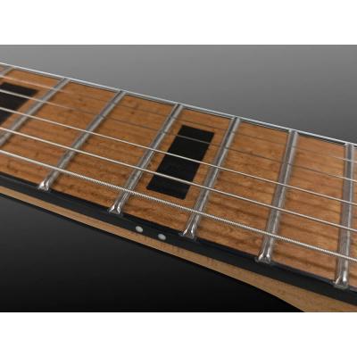 Balaguer Guitars バラゲールギターズ Espada 2023 Limited Select Gloss Space Grey エレキギター 指板画像