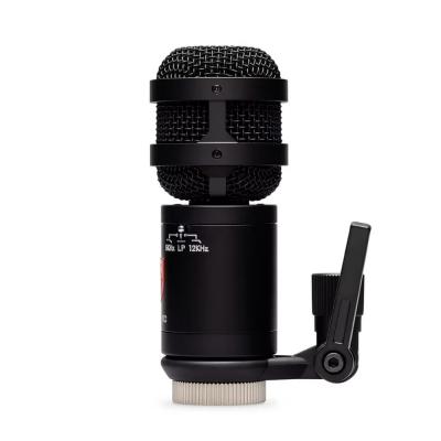 LAUTEN AUDIO ローテンオーディオ KICK MIC コンデンサーマイク 側面