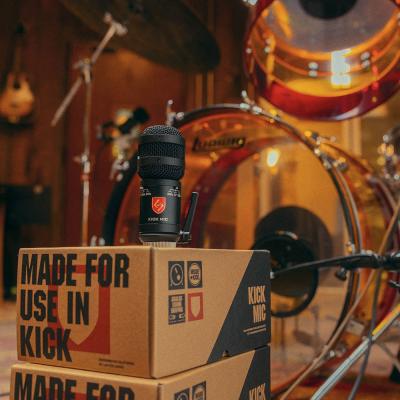 LAUTEN AUDIO ローテンオーディオ KICK MIC コンデンサーマイク イメージ画像
