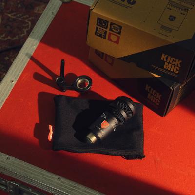 LAUTEN AUDIO ローテンオーディオ KICK MIC コンデンサーマイク イメージ画像