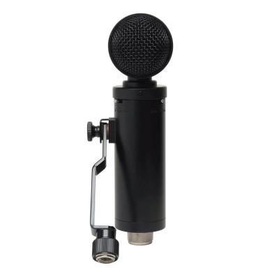 LAUTEN AUDIO ローテンオーディオ LS-308 コンデンサーマイク 背面