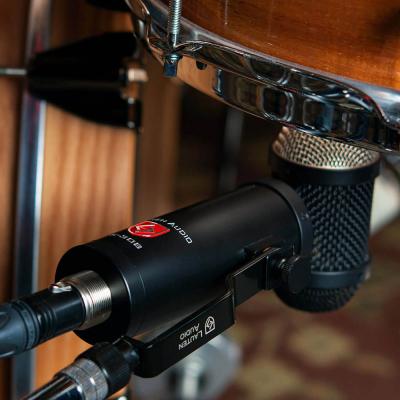 LAUTEN AUDIO ローテンオーディオ LS-308 コンデンサーマイク 使用イメージ